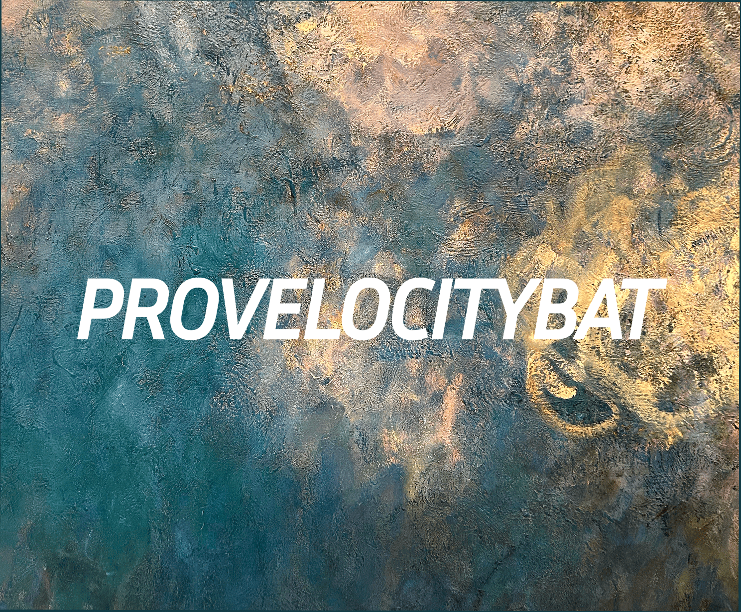 ProVelocity Bat Results